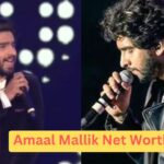 Amaal Mallik Net Worth